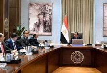 egypt-to-launch-sovereign-industrial,-african-investment-funds-to-drive-economic-growth