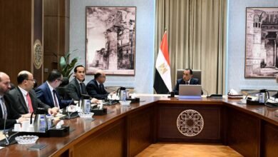 egypt-to-launch-sovereign-industrial,-african-investment-funds-to-drive-economic-growth