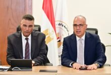 egypt-steps-up-groundwater-monitoring-in-south-sinai,-reviews-flood-protection-projects