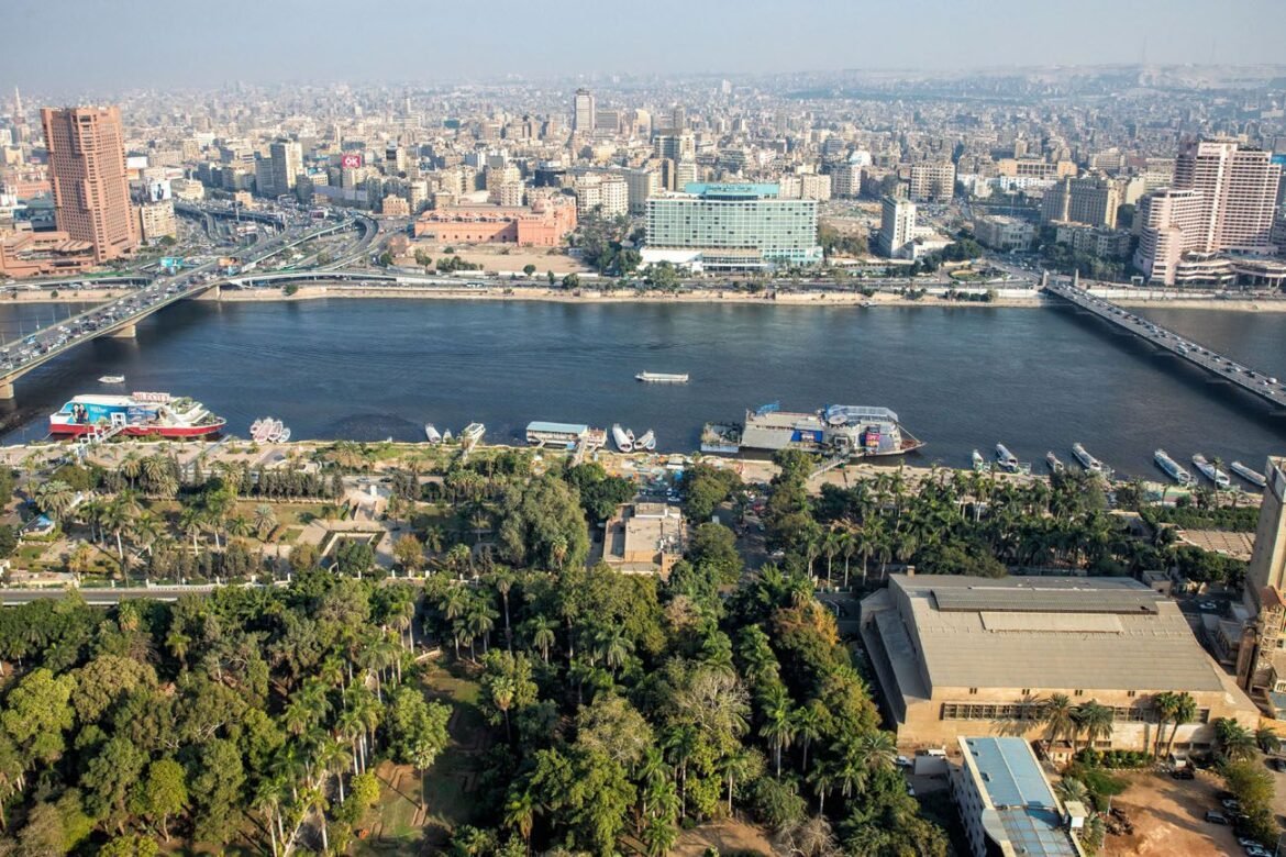 الحكومة-تبدأ-تنفيذ-خطة-“تخضير-القاهرة”-بتشجير-الطريق-الدائري