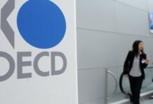 مصر-تتعاون-مع-«oecd»-لإعداد-الاستراتيجية-الوطنية-للذكاء-الاصطناعي
