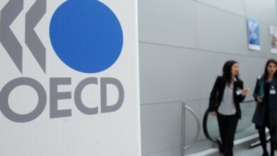 مصر-تتعاون-مع-«oecd»-لإعداد-الاستراتيجية-الوطنية-للذكاء-الاصطناعي