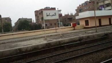 السكة-الحديد-تعلن-:-عودة- حركة-القطارات-بصورة-منتظمة-في-الاتجاهين-على-خط-القاهرة-/-اسوان-والعكس