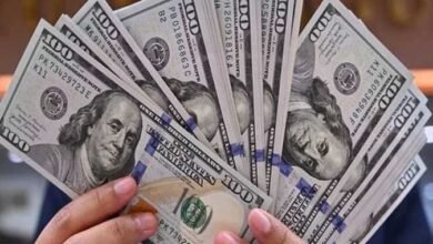 788-مليون-دولار-مبيعات-الأجانب-فى-أدوات-الدين-الحكومية-الأسبوع-الماضى