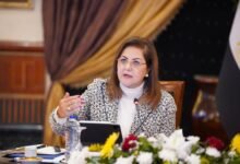 السعيد:-البطالة-بين-الشباب-في-الدول-العربية-تبلغ-26%-مقابل-12.5%-عالميًا