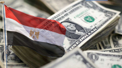 773-مليون-دولار-مشتريات-الأجانب-والعرب-فى-أدوات-الدين-بجلسة-اليوم