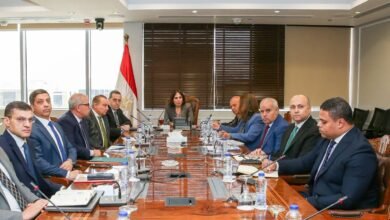 «الإسكان»-تنتهى-من-81.8%-من-مبادرة-«سكن-لكل-المصريين»