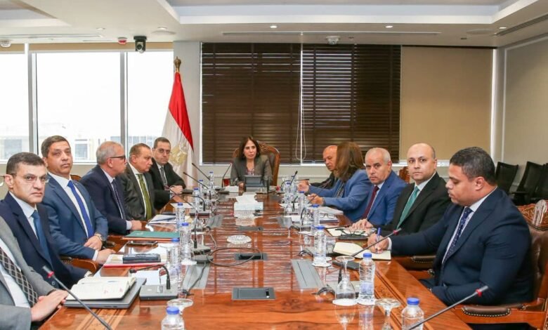 «الإسكان»-تنتهى-من-81.8%-من-مبادرة-«سكن-لكل-المصريين»