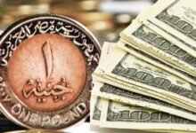 الجنيه-يسترد-29%-من-تراجعه-الحقيقى-منذ-2024