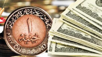 الجنيه-يسترد-29%-من-تراجعه-الحقيقى-منذ-2024