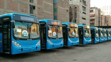 الحكومة-تقترب-من-تسوية-مديونيات-«النقل-العام»-لـ«الاستثمار-القومي»-بـ3.5-مليار-جنيه