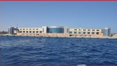 موانئ-البحر-الأحمر: -وصول-وسفر-1214-راكباً-من-وإلى-السعودية-والأردن 