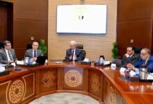 نائب-رئيس-الوزراء-يتابع-جهود-إعادة-هيكلة-الهيئات-الاقتصادية