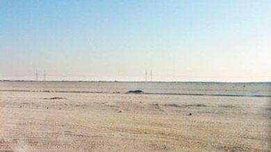 “العربية-لاستصلاح-الأراضي”-تبيع-30-وحدة-سكنية-بالمزاد-لدعم-السيولة