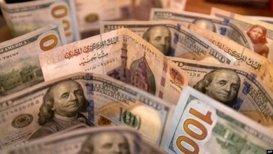 سعر-الدولار-في-مصر-اليوم-الأربعاء-7/10/2026