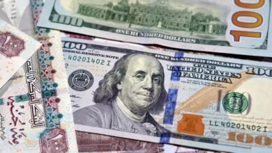 سعر-الدولار-في-مصر-اليوم-الأحد-11/10/2026.-ارتفاع-بالختام