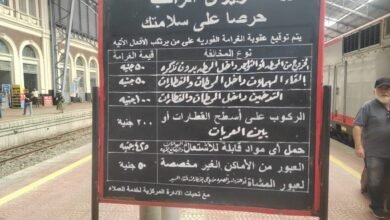 تبدأ-من-50-جنيهًا.-تعرف-على-غرامات-ركوب-القطارات-بدون-تذكرة-ومخالفات-السكة-الحديد